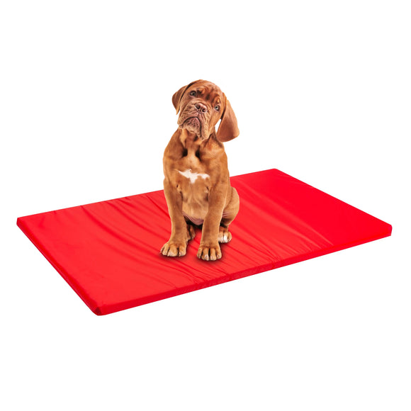 The-Importance-of-a-Good-Dog-Bed NorthWestTrade