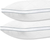 Hotel Luxury Hypoallergenic Bed Pillows for Neck Pain - Soft & Fluffy Down Alternative Sleeping Pillows for Side & Back Sleepers - Standard Size 42 x 70cm - Pillows 2 Pack (2, White) NorthWestTrade